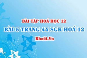 Bài 5 trang 44 SGK Hoá 12: Tính chất Hoá học, tính chất Vật lí của Amin